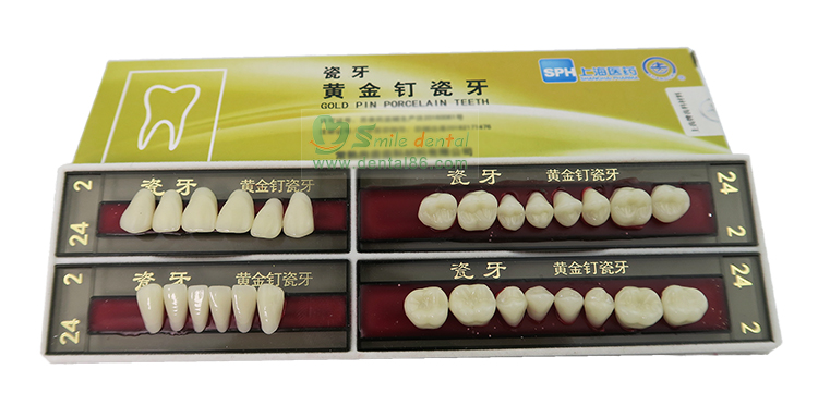 SC03 Gold Pin Porcelain Teeth